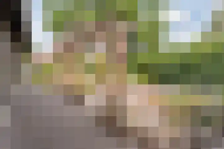 Heeleind 86 Bladel thumbnail 29