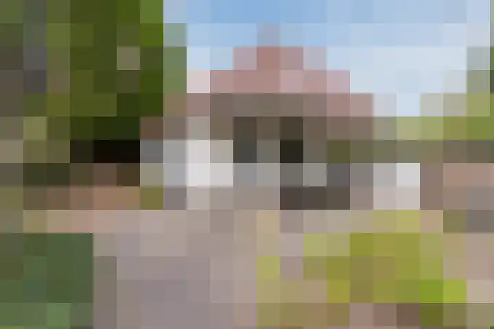 Heeleind 86 Bladel thumbnail 31