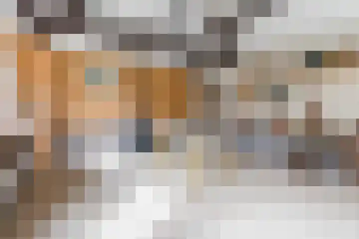 Heeleind 86 Bladel thumbnail 32