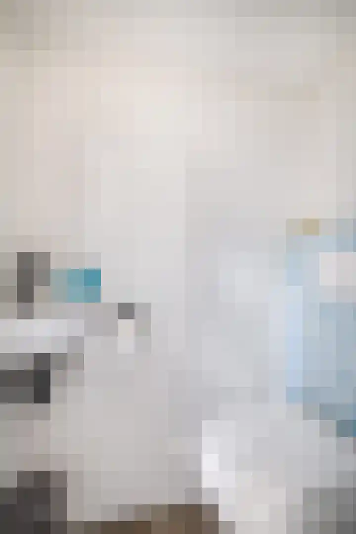 Heeleind 86 Bladel thumbnail 33