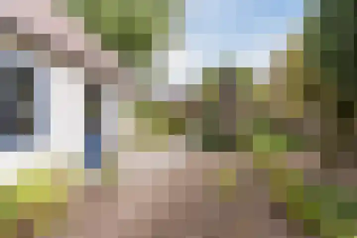 Heeleind 86 Bladel thumbnail 34