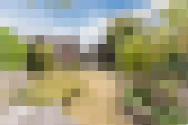 Heeleind 86 Bladel thumbnail 36