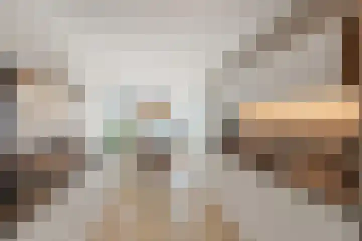 Heeleind 86 Bladel thumbnail 37
