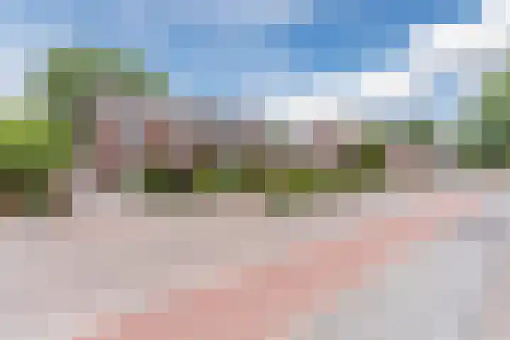 Heeleind 86 Bladel thumbnail 4