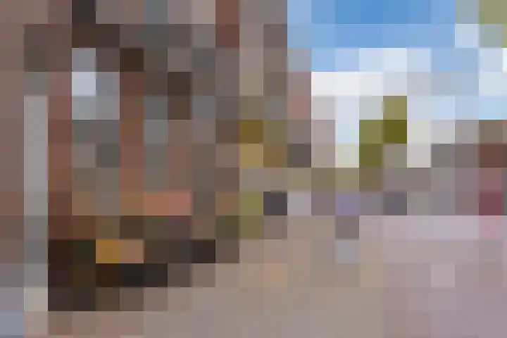 Heeleind 86 Bladel thumbnail 40