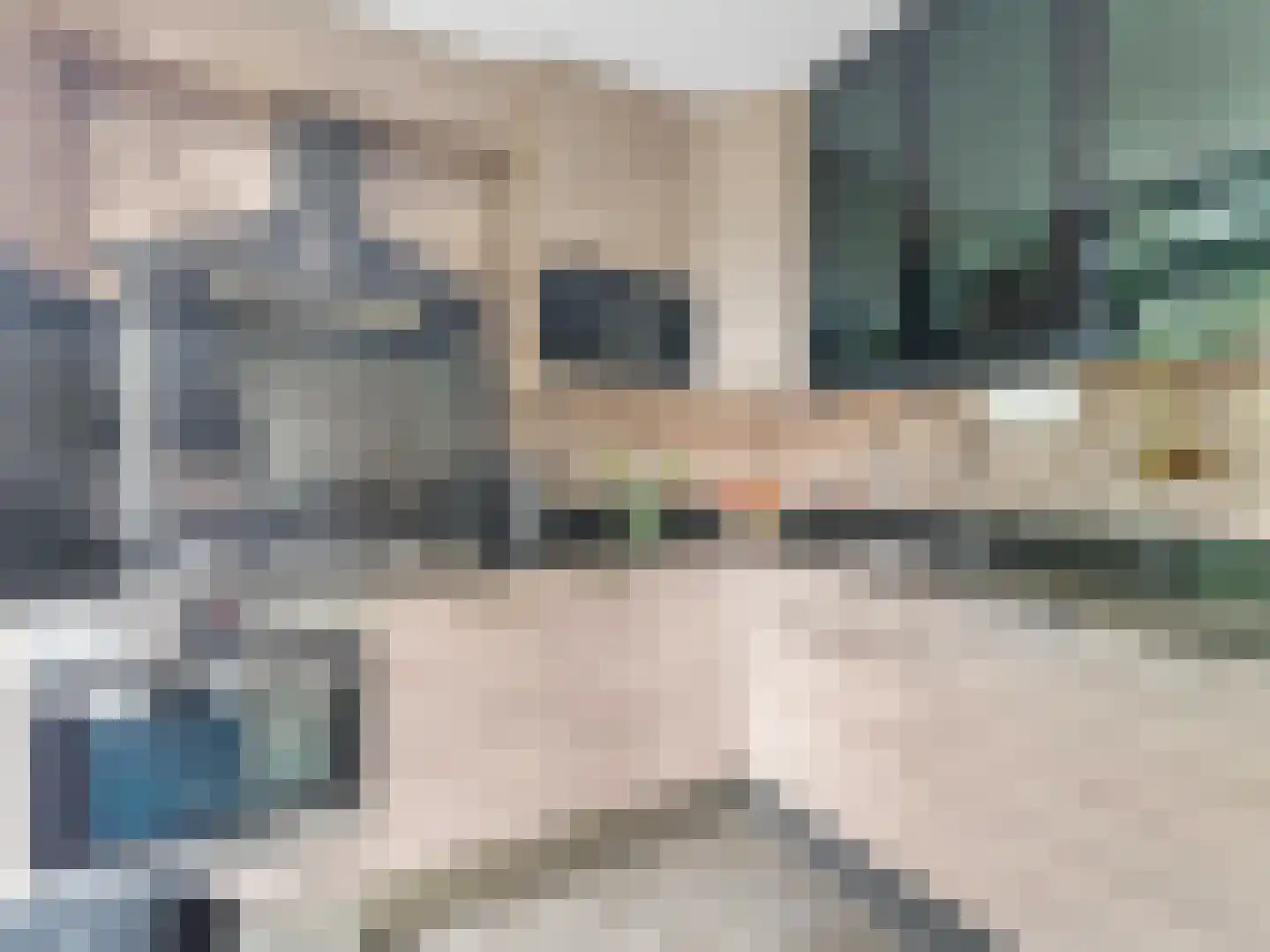 Heelkruid 36 Amersfoort thumbnail 13