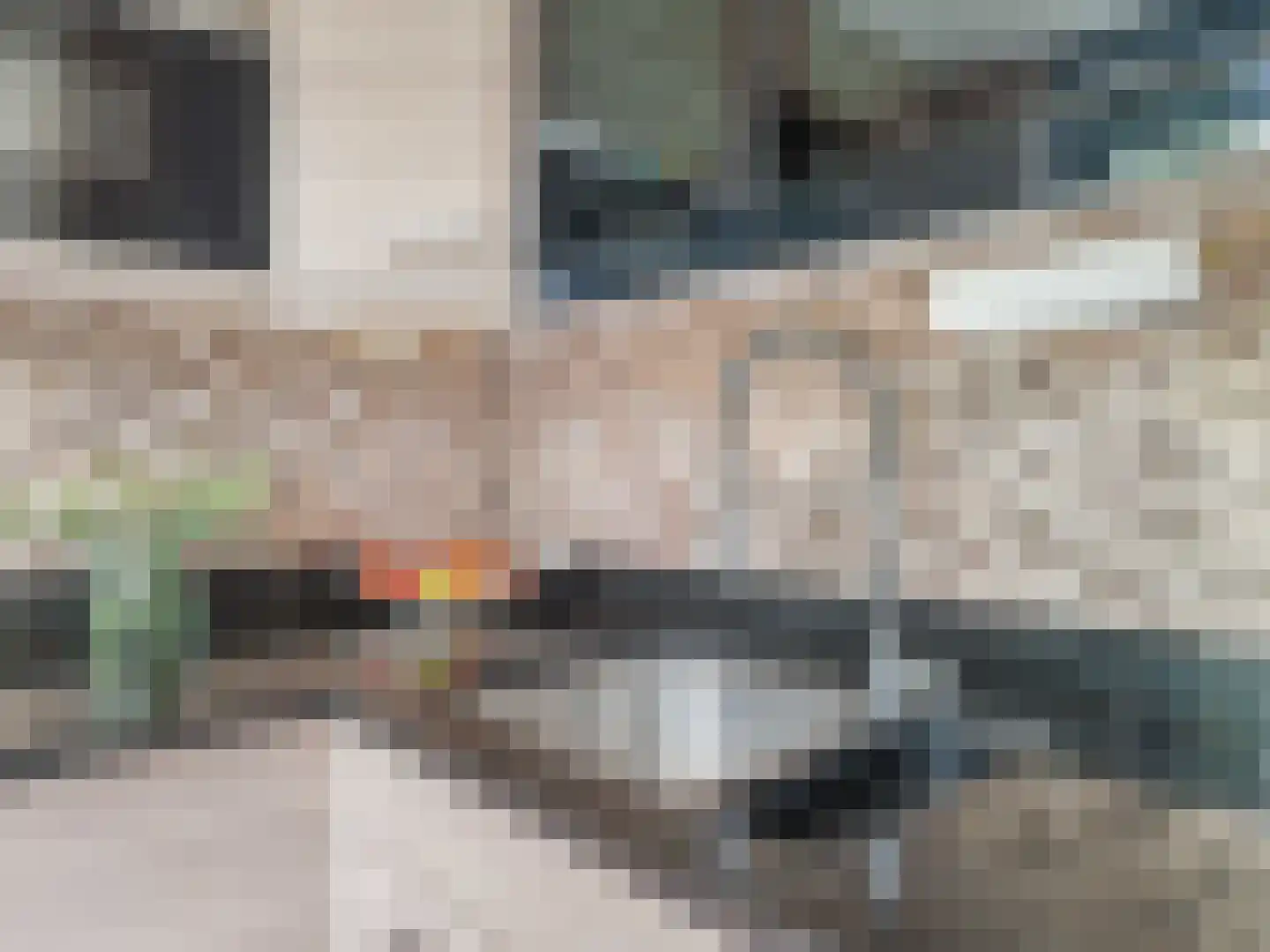 Heelkruid 36 Amersfoort thumbnail 15