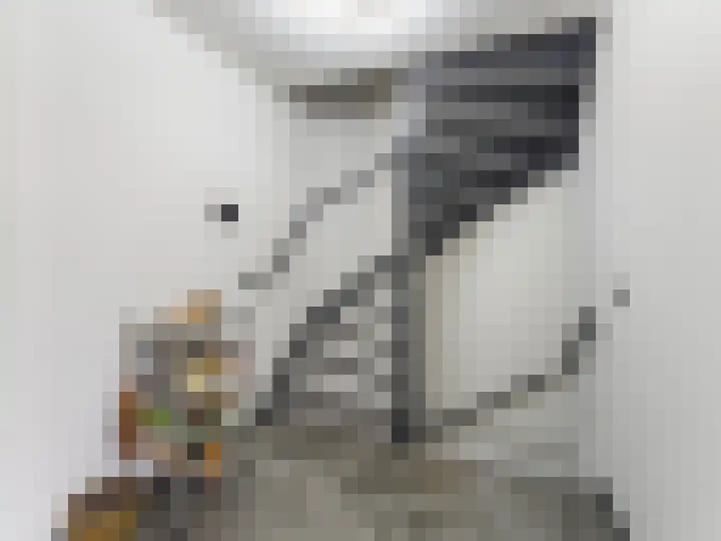 Heelkruid 36 Amersfoort thumbnail 16