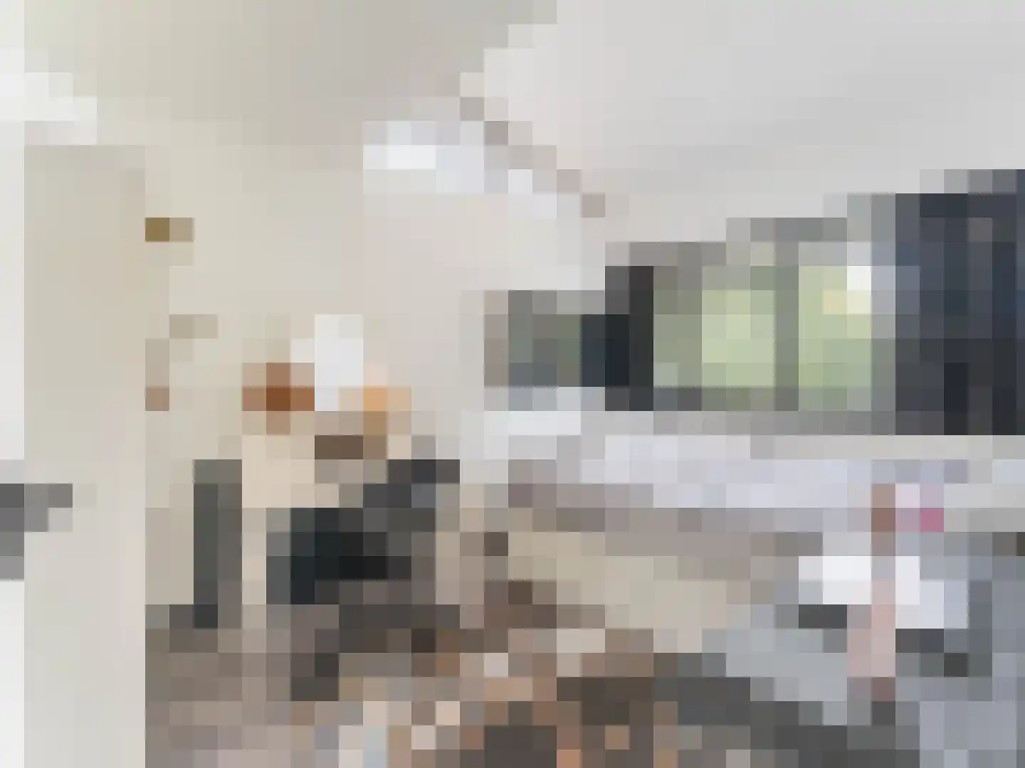 Heelkruid 36 Amersfoort thumbnail 18
