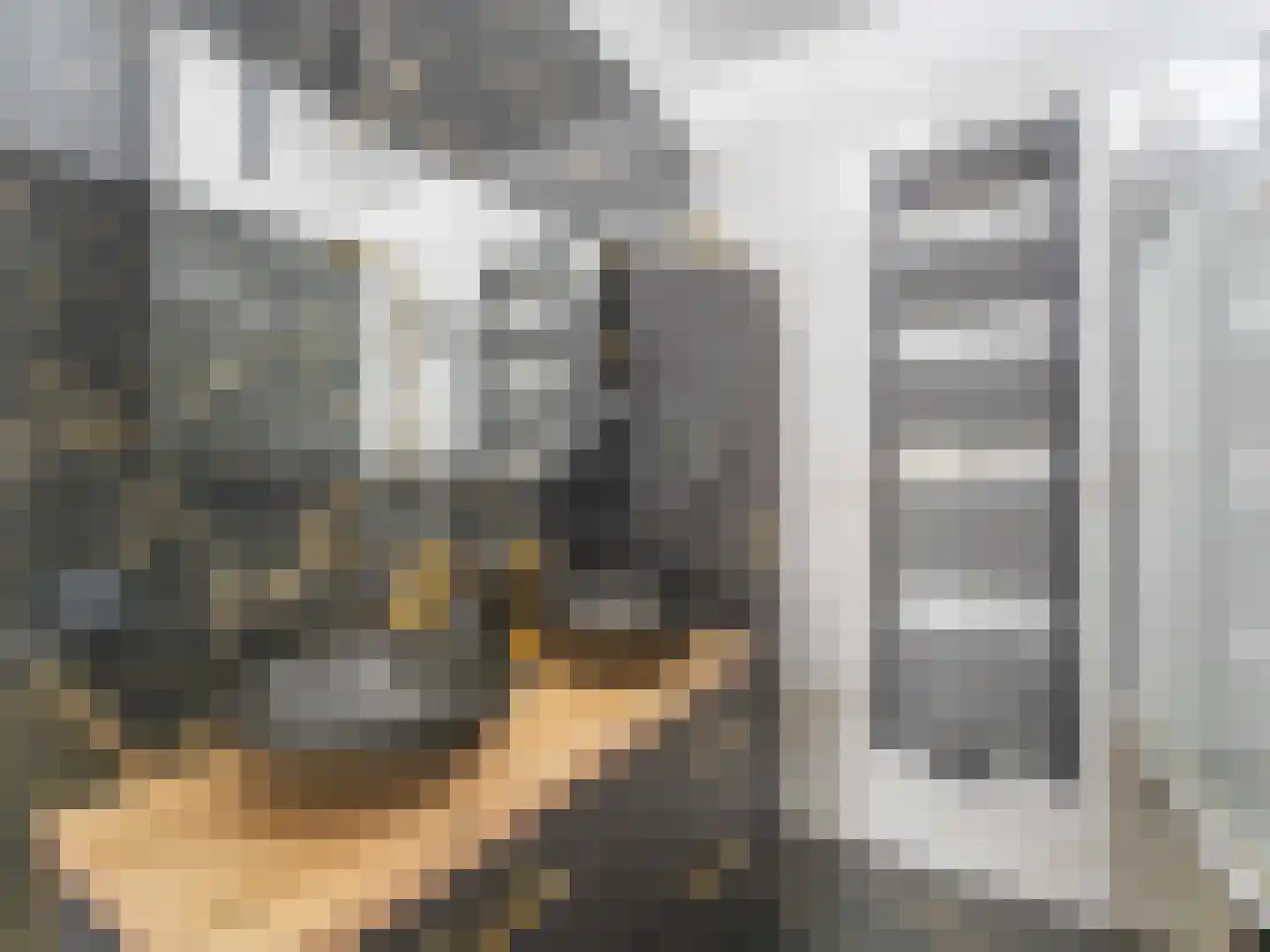 Heelkruid 36 Amersfoort thumbnail 20
