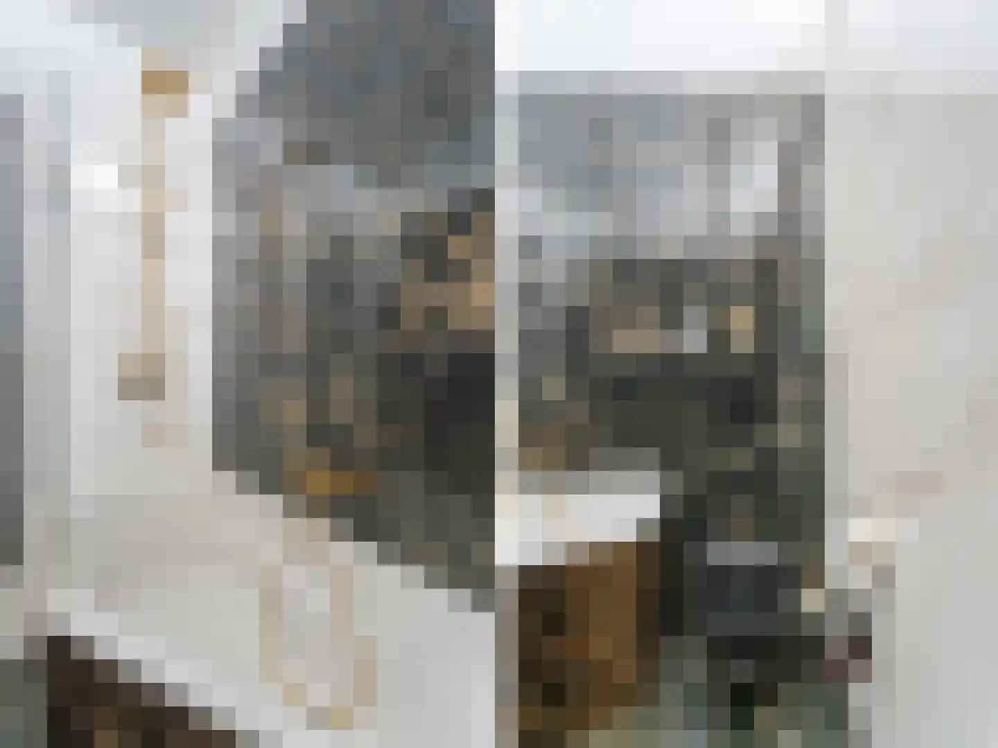 Heelkruid 36 Amersfoort thumbnail 22