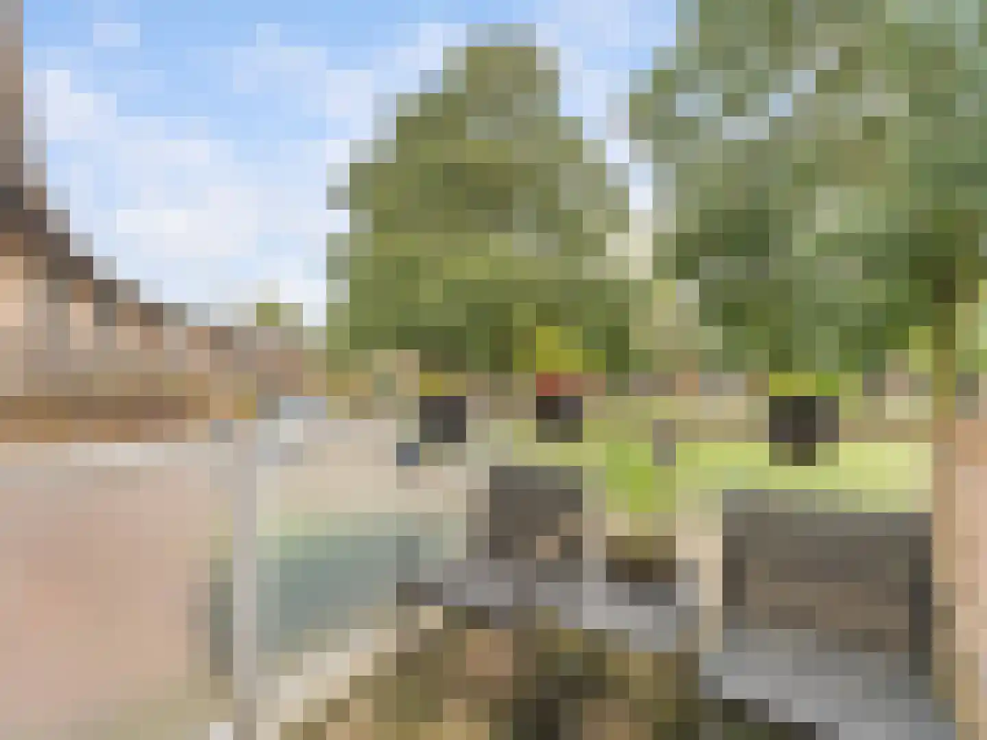 Heelkruid 36 Amersfoort thumbnail 29