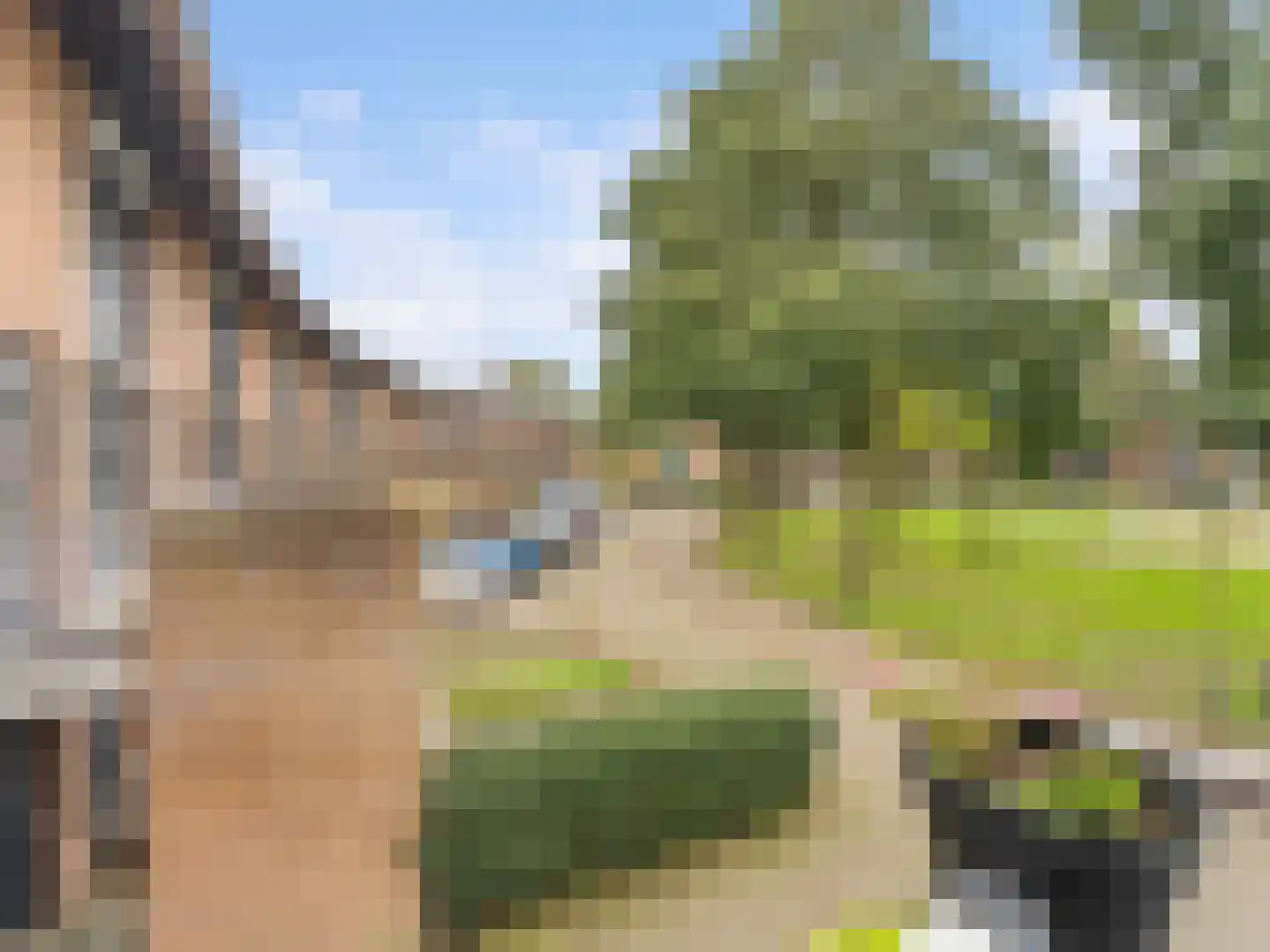 Heelkruid 36 Amersfoort thumbnail 30