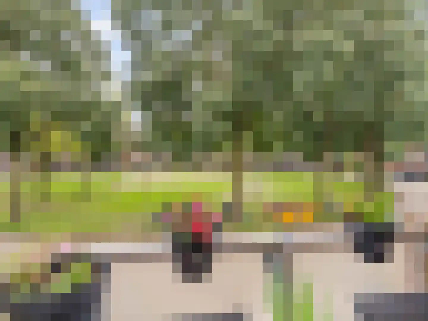 Heelkruid 36 Amersfoort thumbnail 31