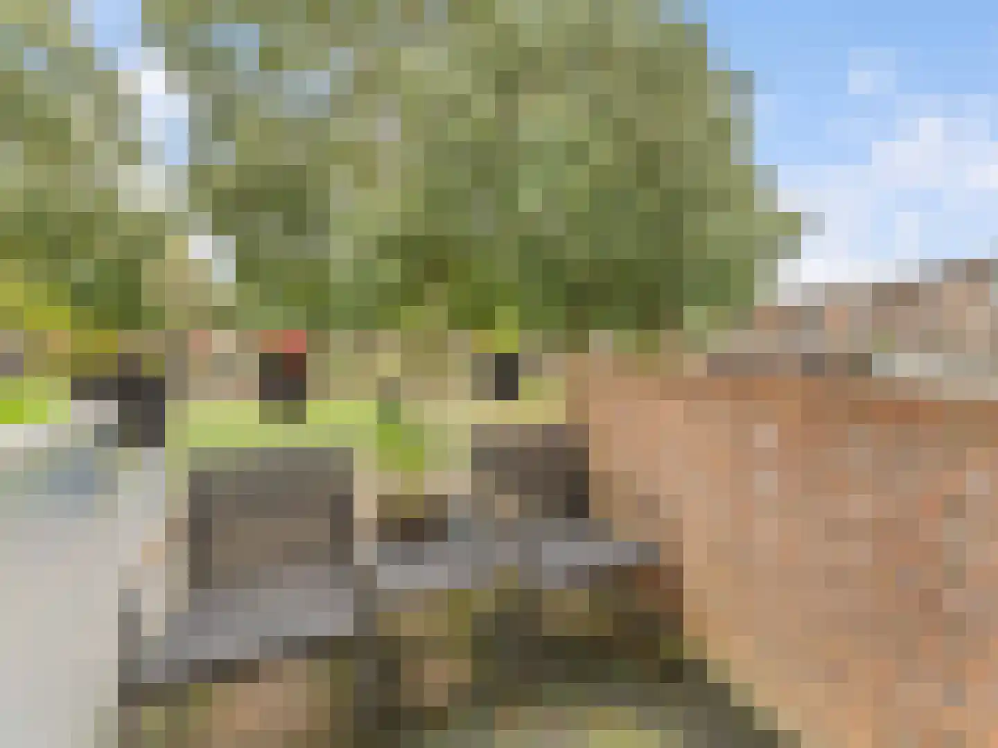 Heelkruid 36 Amersfoort thumbnail 32