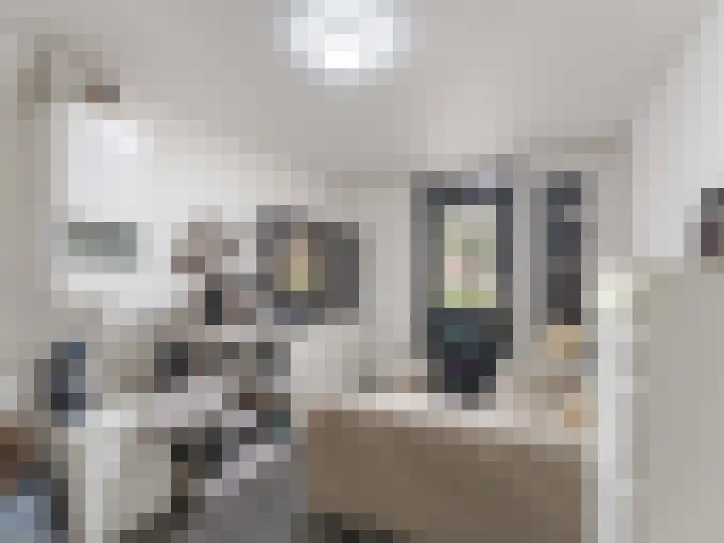 Heelkruid 36 Amersfoort thumbnail 34