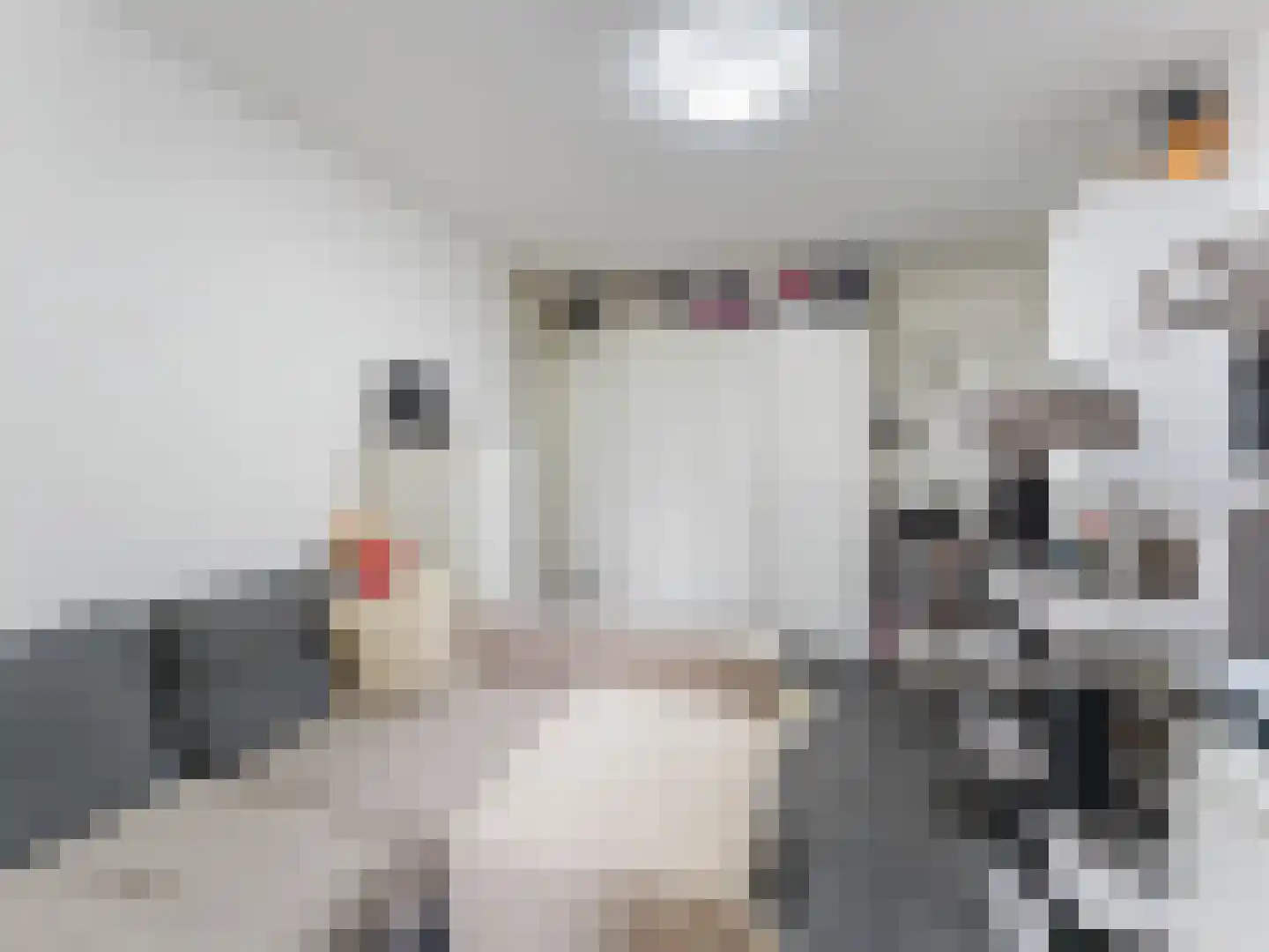 Heelkruid 36 Amersfoort thumbnail 36