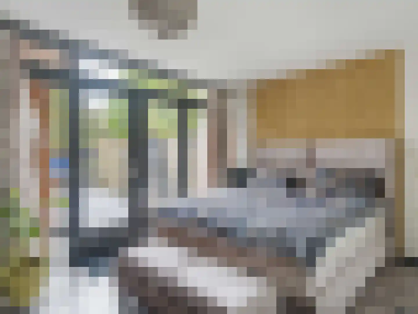 Heelkruid 36 Amersfoort thumbnail 37