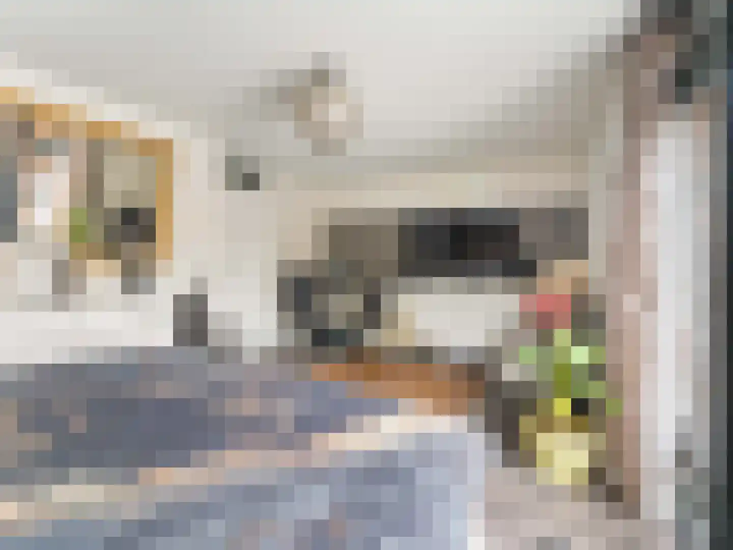 Heelkruid 36 Amersfoort thumbnail 39
