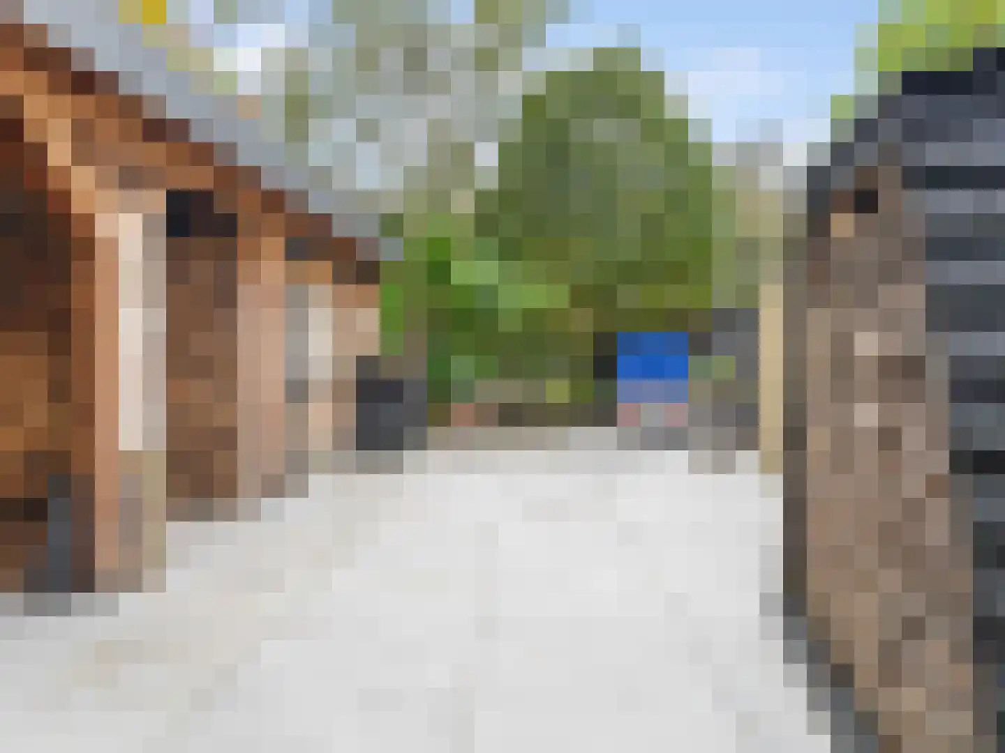 Heelkruid 36 Amersfoort thumbnail 42
