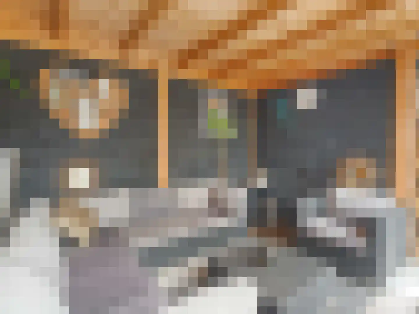 Heelkruid 36 Amersfoort thumbnail 43