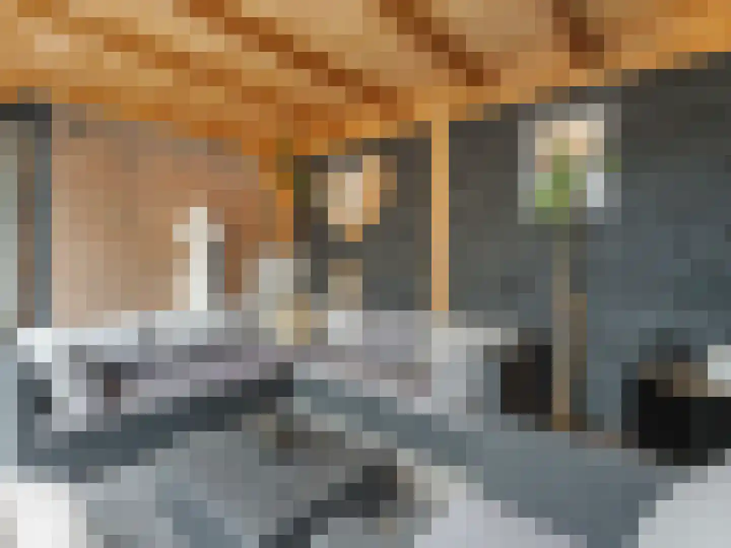 Heelkruid 36 Amersfoort thumbnail 44
