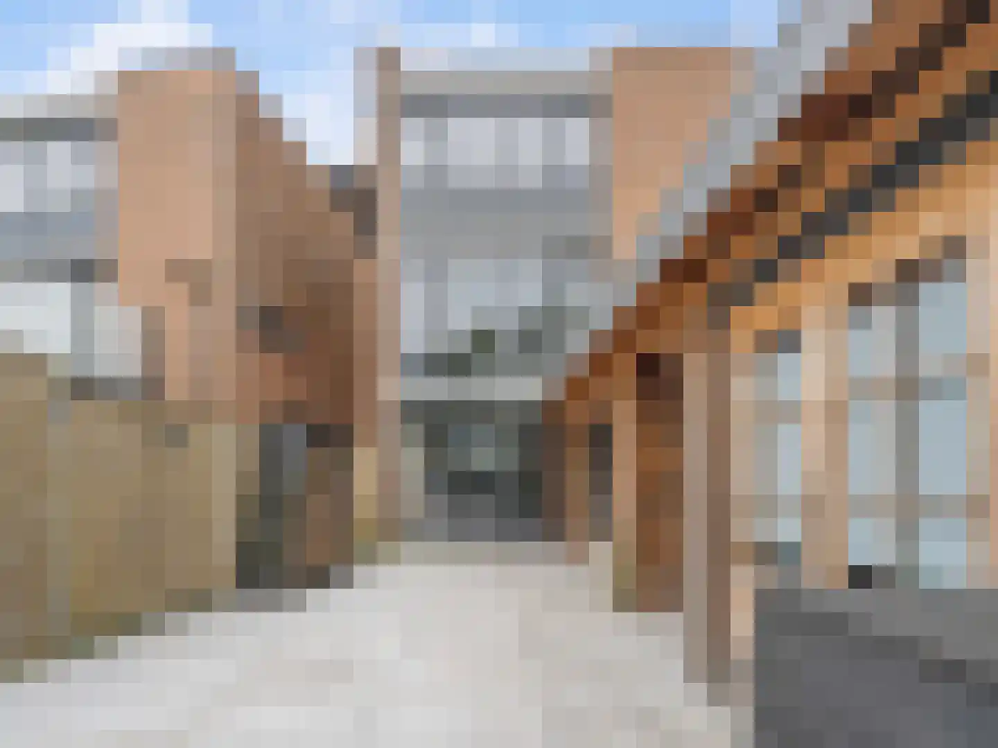 Heelkruid 36 Amersfoort thumbnail 49