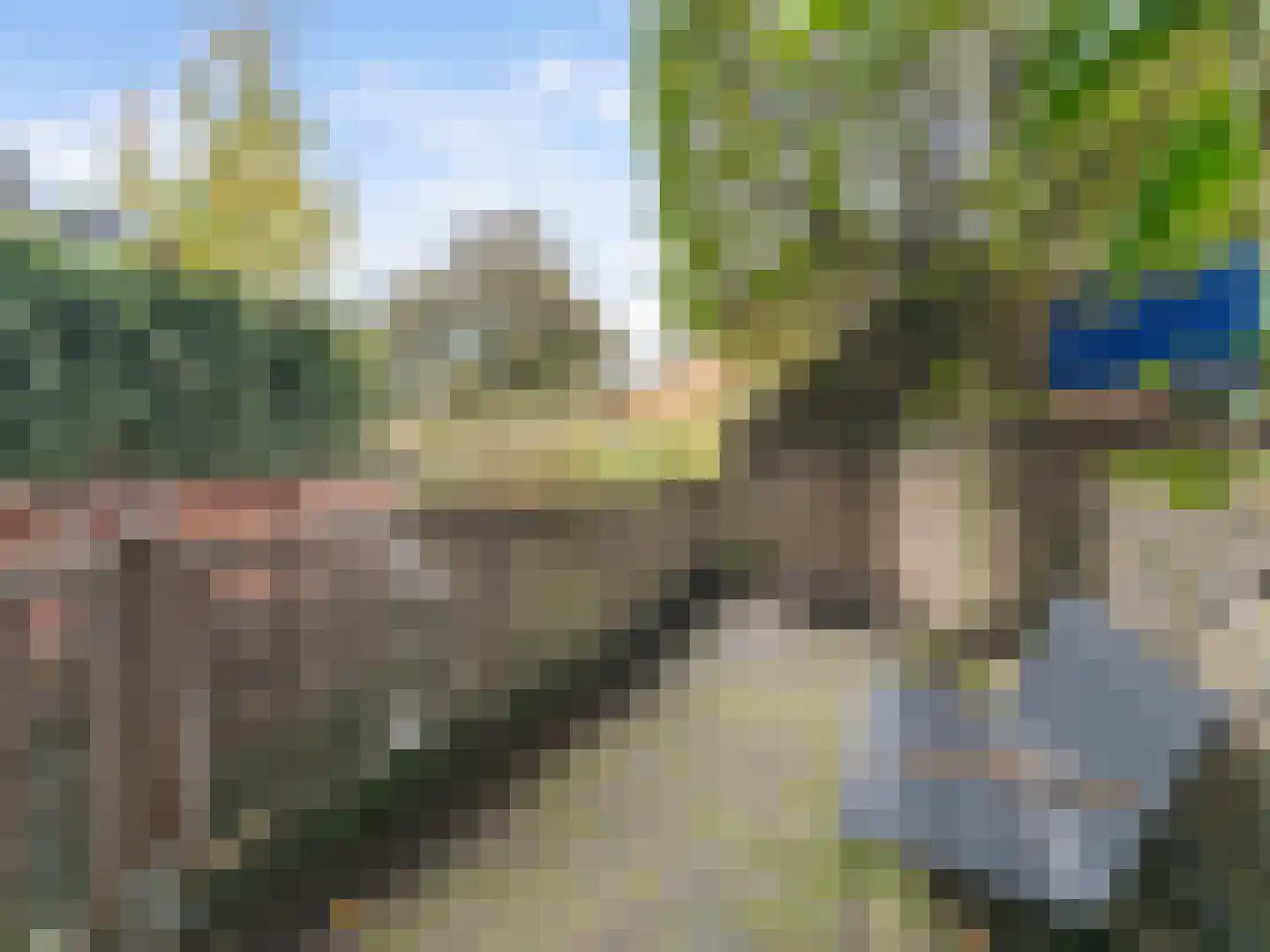Heelkruid 36 Amersfoort thumbnail 52