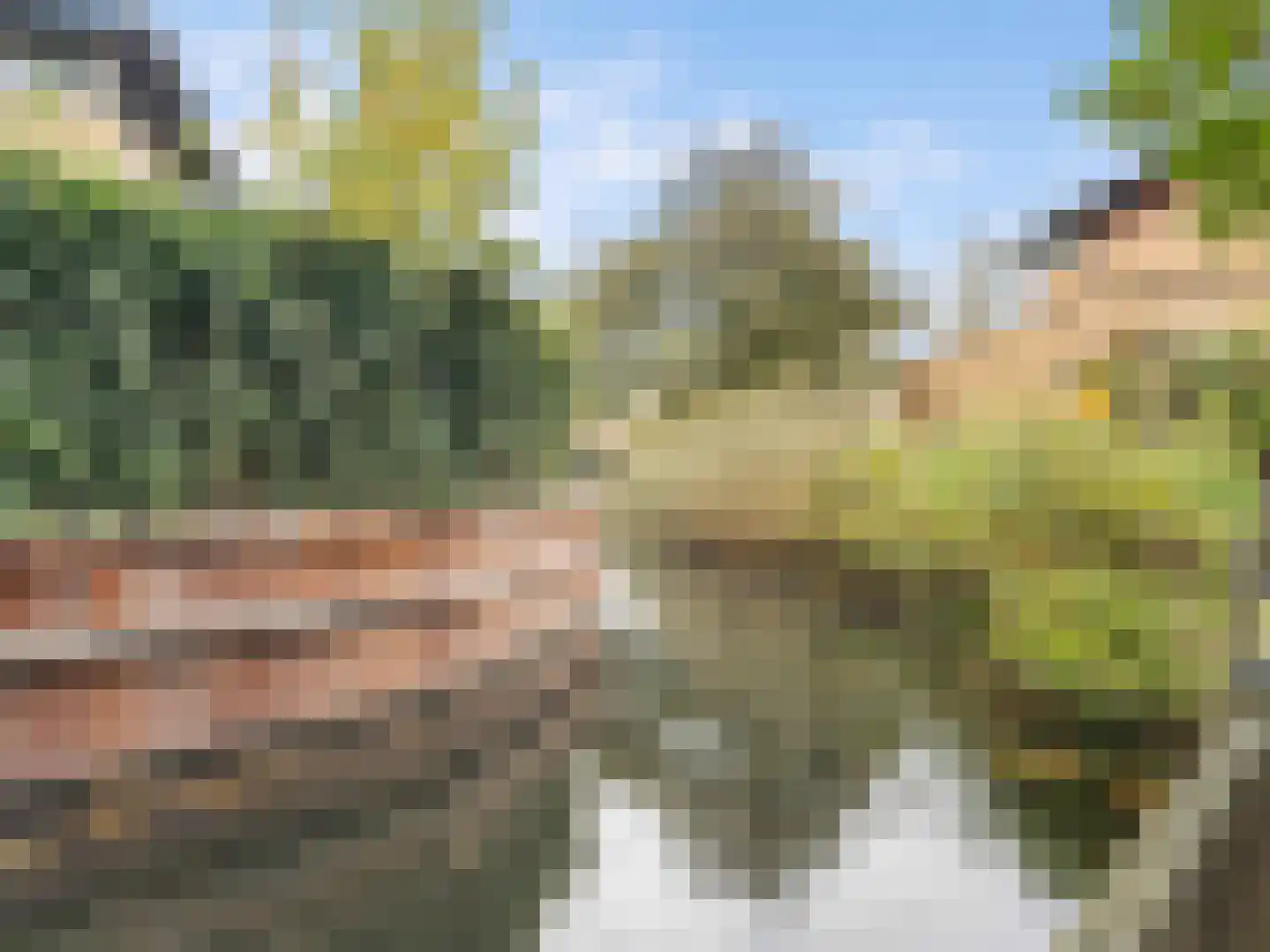 Heelkruid 36 Amersfoort thumbnail 53