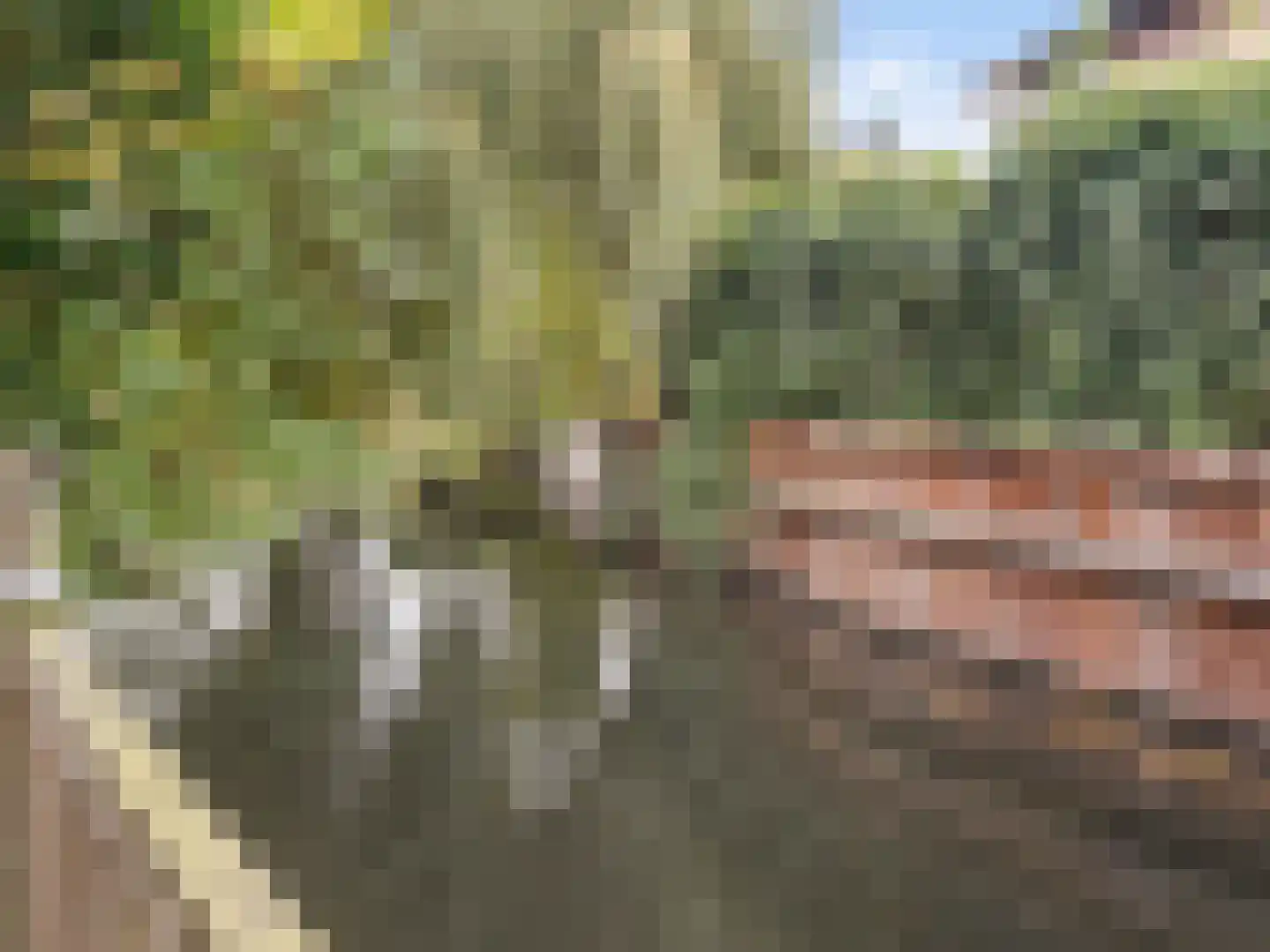 Heelkruid 36 Amersfoort thumbnail 54