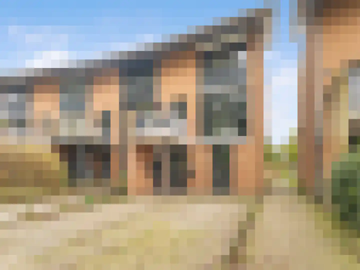 Heelkruid 36 Amersfoort thumbnail 57