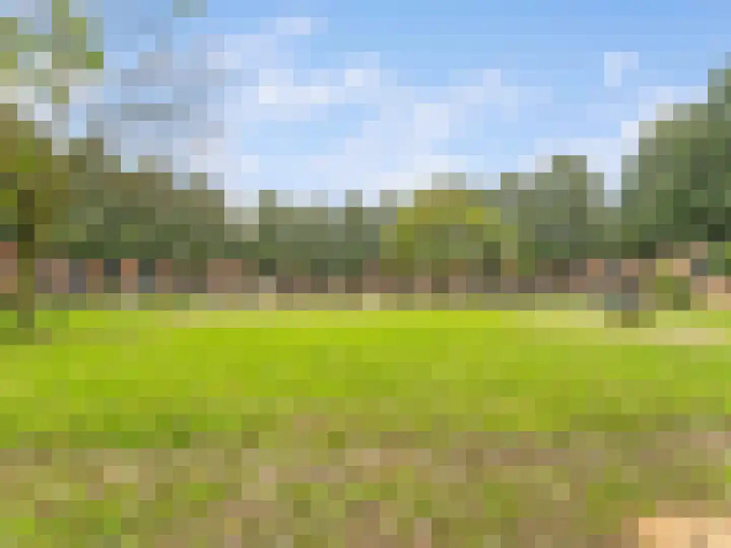 Heelkruid 36 Amersfoort thumbnail 59