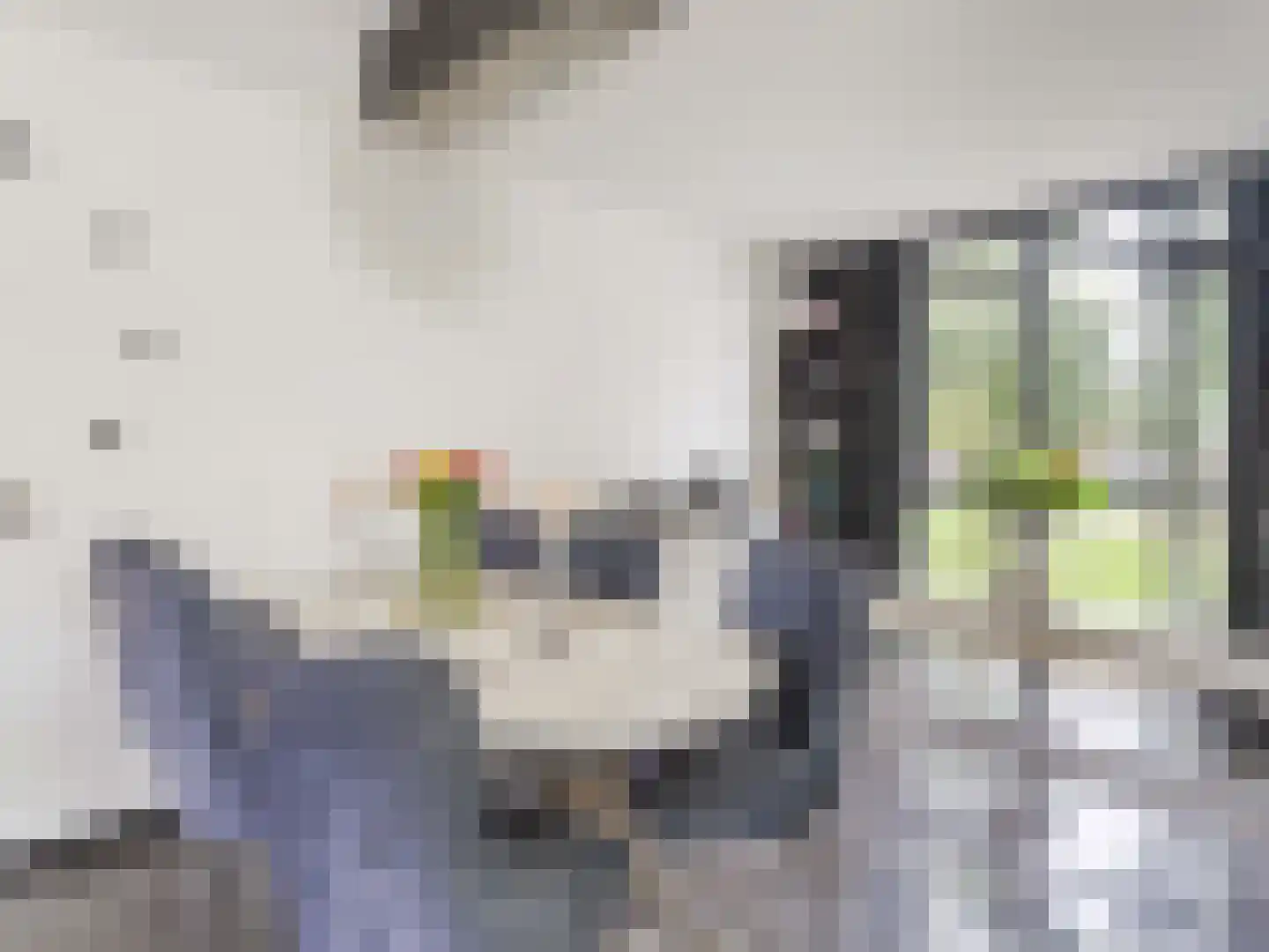 Heelkruid 36 Amersfoort thumbnail 6