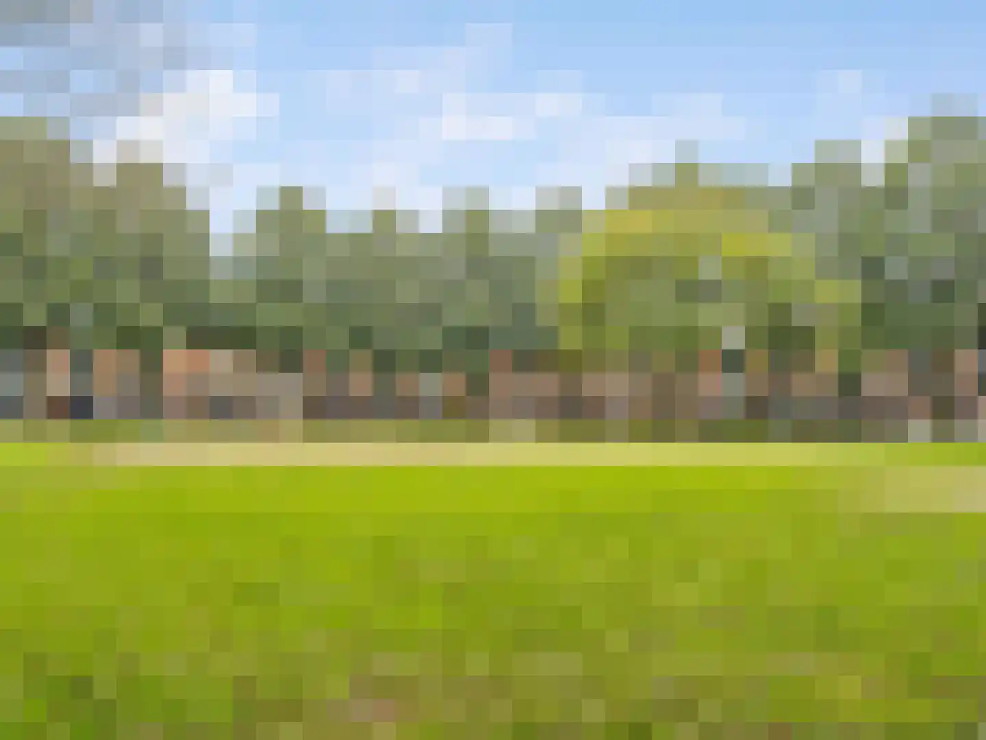Heelkruid 36 Amersfoort thumbnail 60