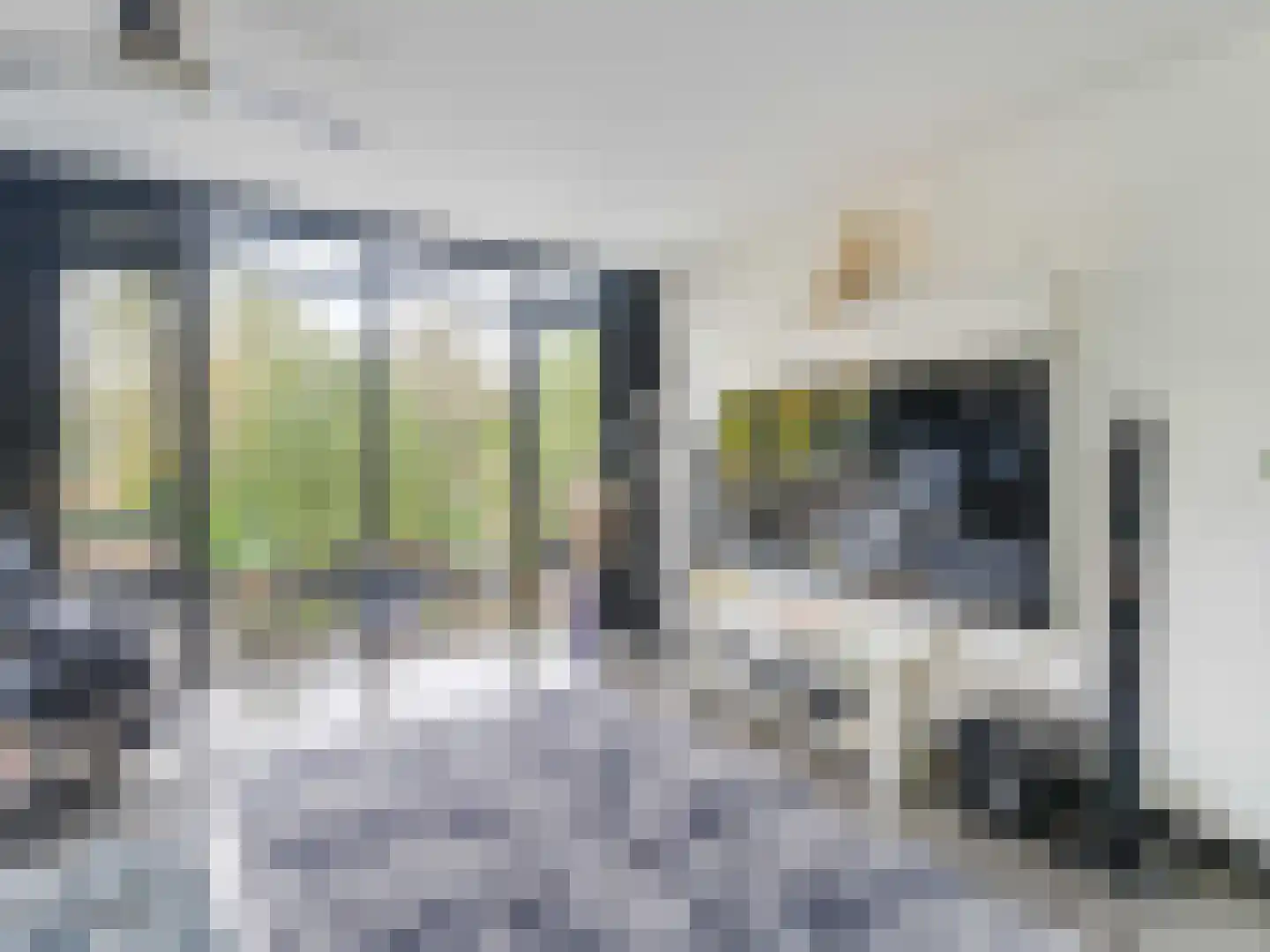 Heelkruid 36 Amersfoort thumbnail 7