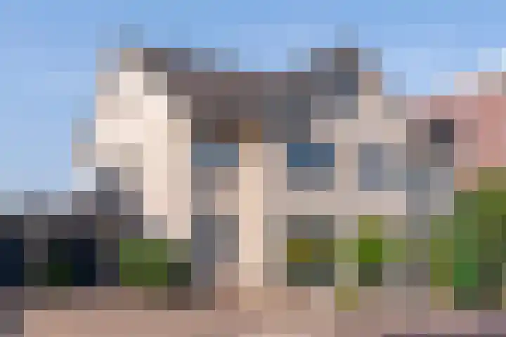 Heelkruid 4 dans Veenendaal