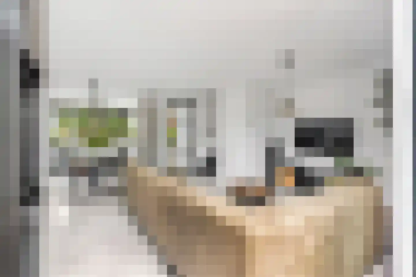 Heelkruid 4 Amersfoort thumbnail 11