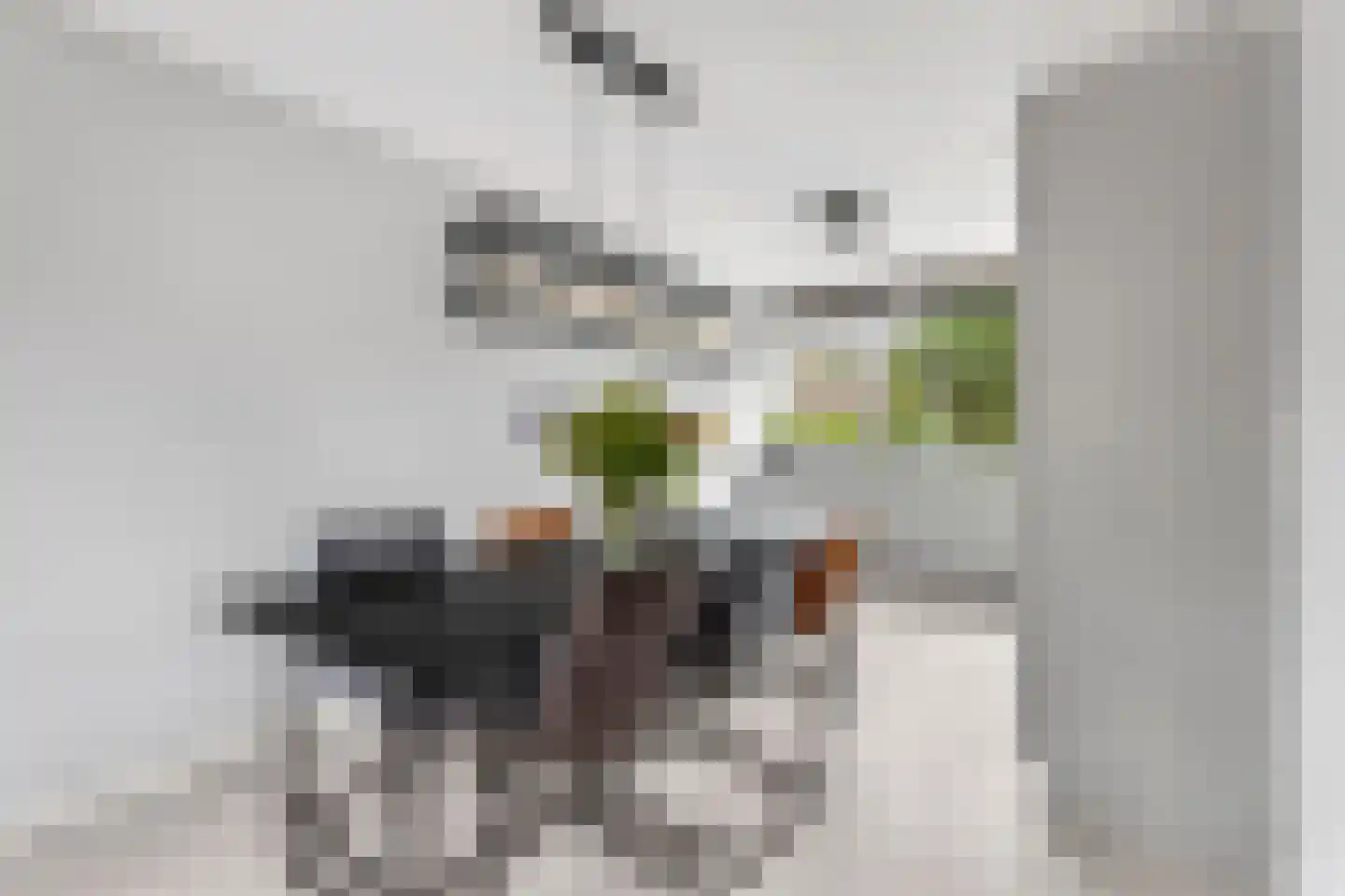 Heelkruid 4 Amersfoort thumbnail 12