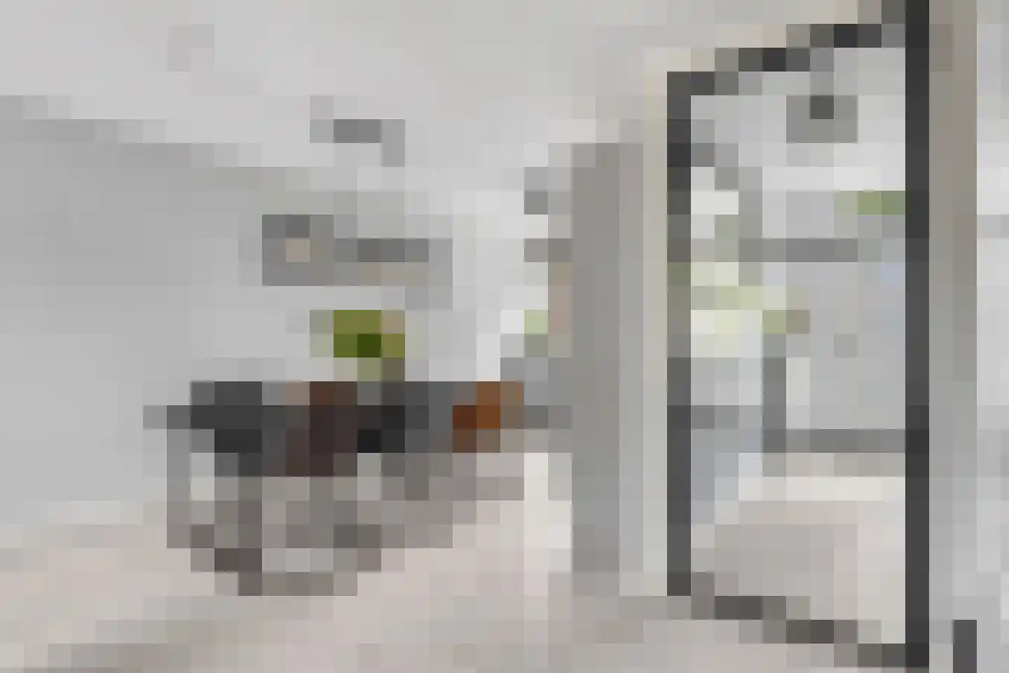 Heelkruid 4 Amersfoort thumbnail 13