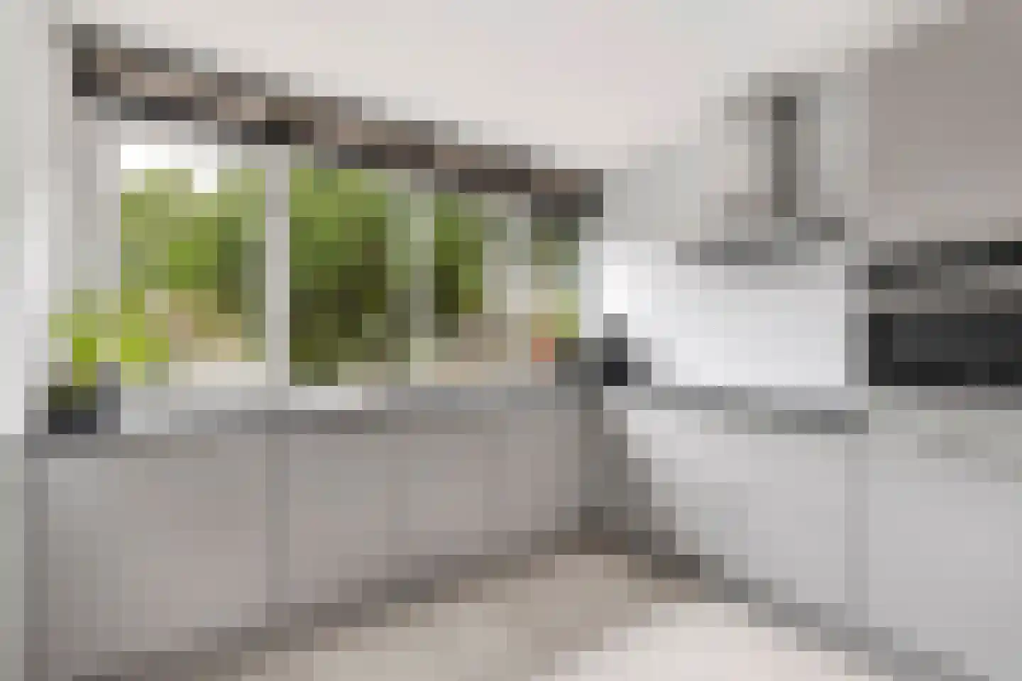 Heelkruid 4 Amersfoort thumbnail 15