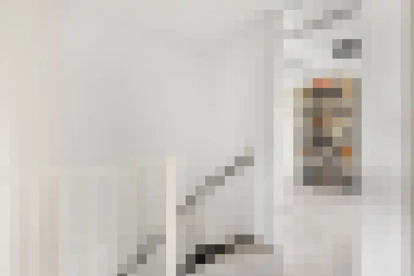 Heelkruid 4 Amersfoort thumbnail 16