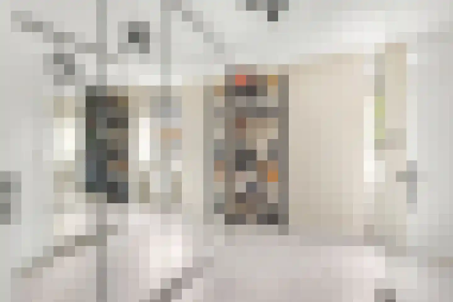 Heelkruid 4 Amersfoort thumbnail 19