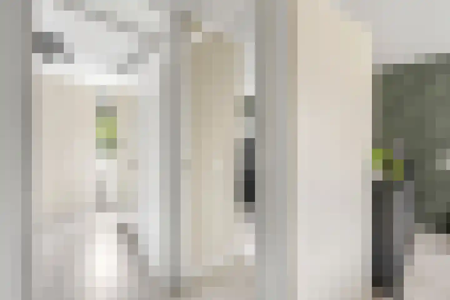Heelkruid 4 Amersfoort thumbnail 20