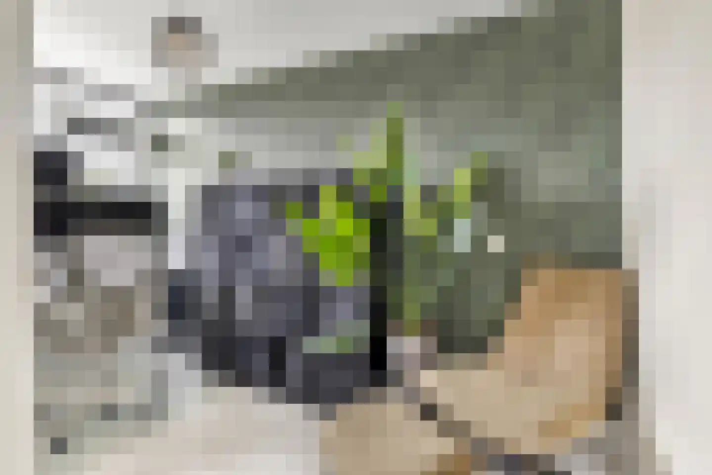 Heelkruid 4 Amersfoort thumbnail 21