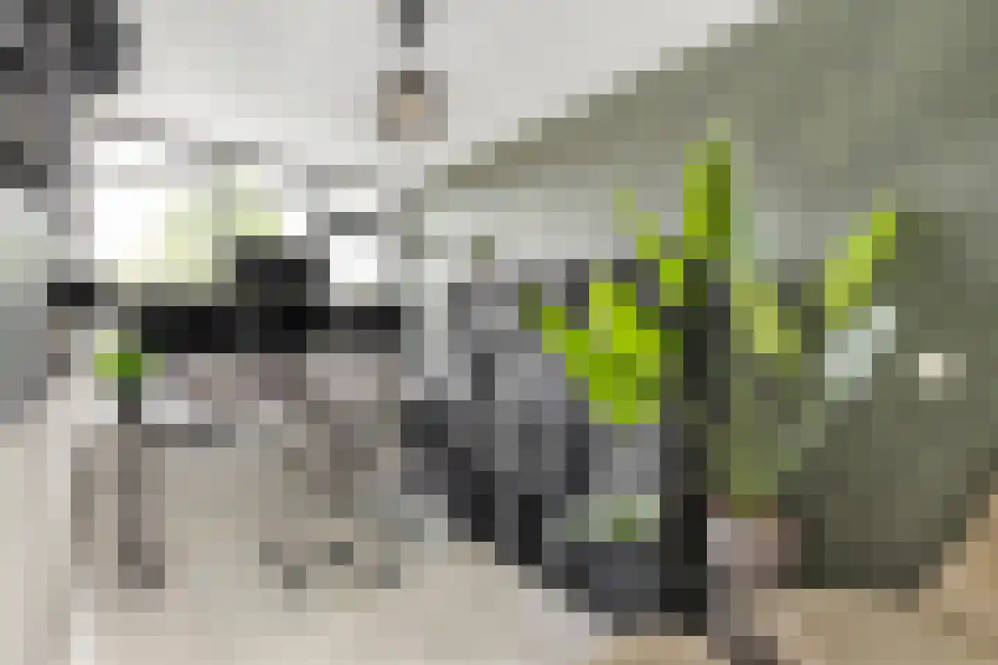 Heelkruid 4 Amersfoort thumbnail 22