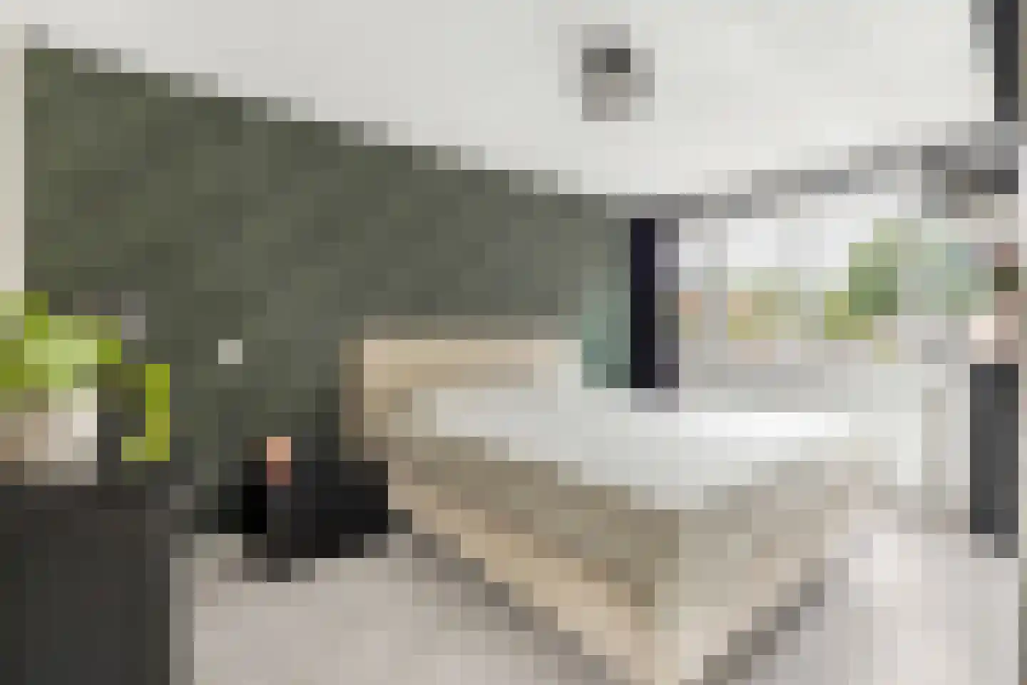 Heelkruid 4 Amersfoort thumbnail 23