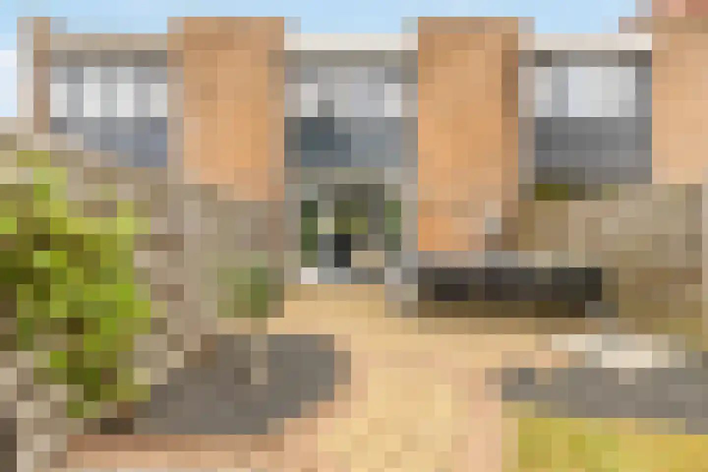 Heelkruid 4 Amersfoort thumbnail 27