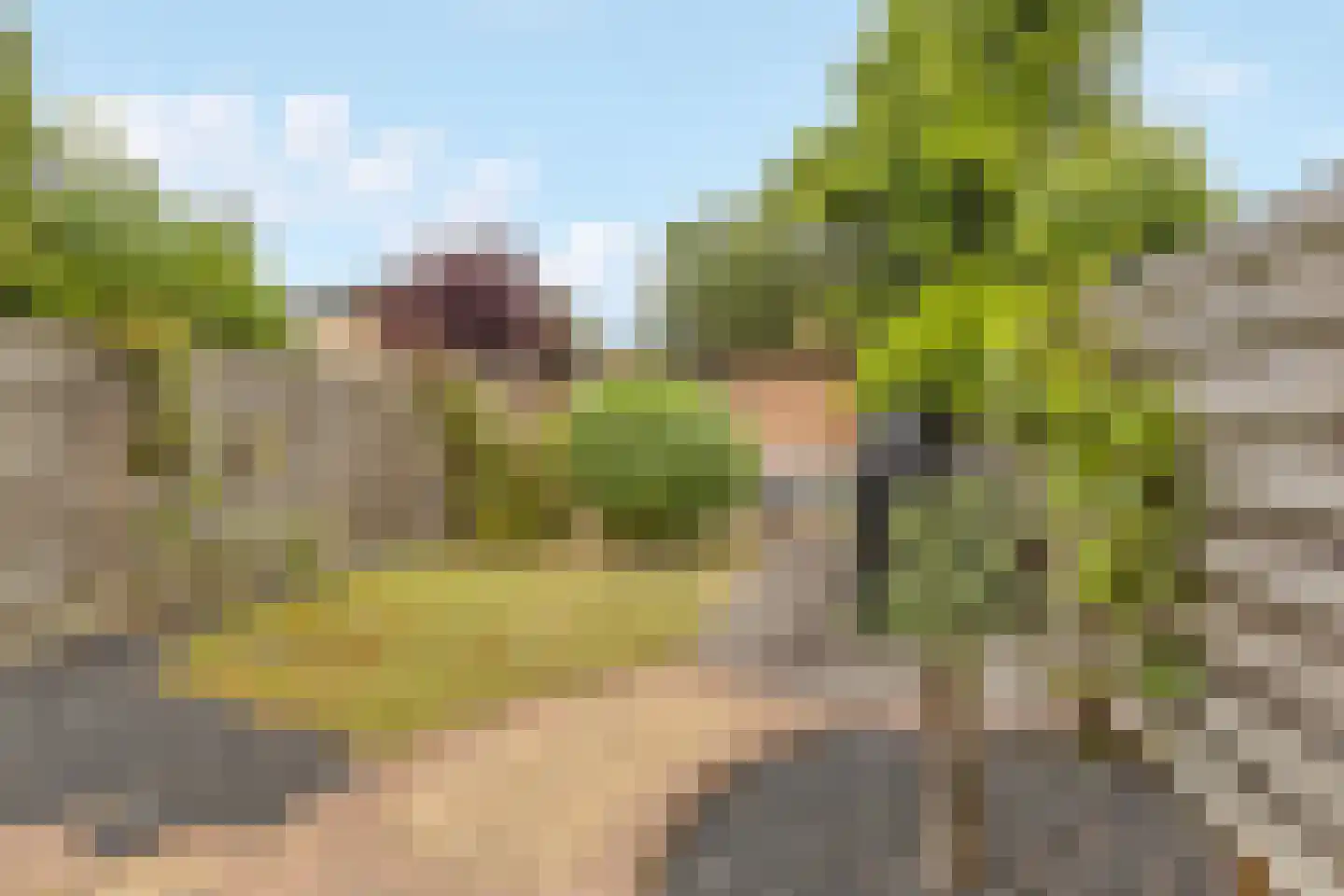 Heelkruid 4 Amersfoort thumbnail 28