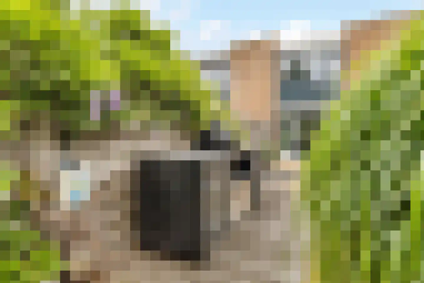 Heelkruid 4 Amersfoort thumbnail 30