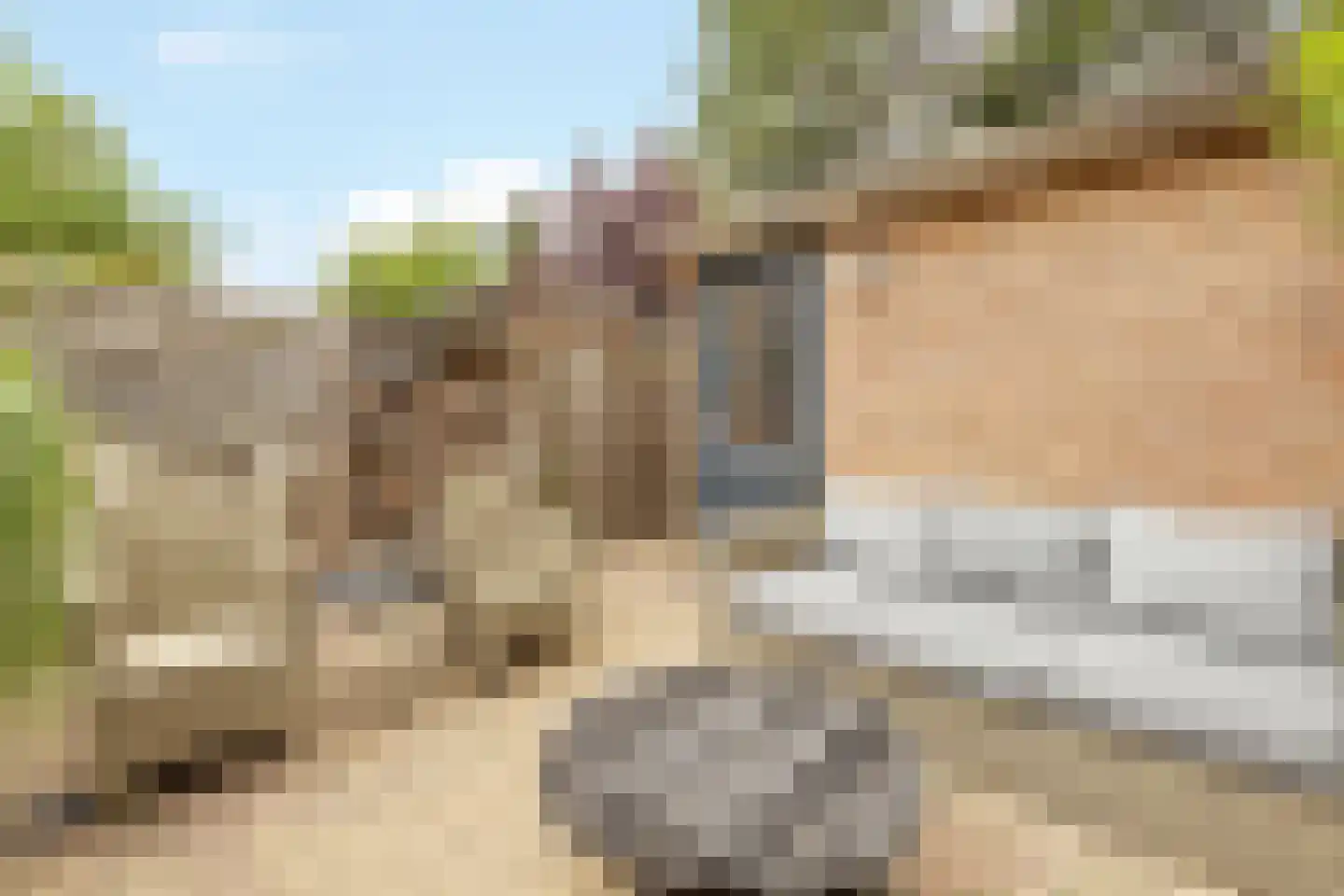 Heelkruid 4 Amersfoort thumbnail 31